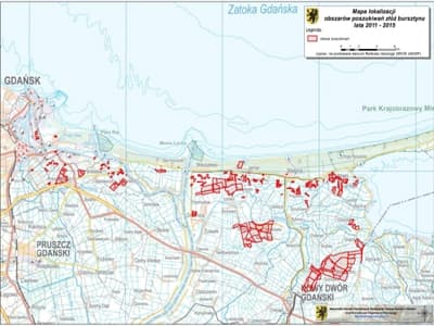 Mapa lokalizacji obszarów poszukiwań złóż bursztynu w latach 2011-2015