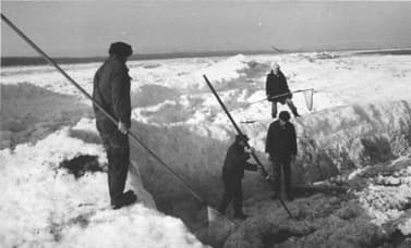 Poszukiwanie bursztynu na plaży w Mikoszewie zimą 1964 r. Ze zbiorów Stanisława Mikołajuna