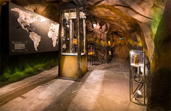 Muzeum Bursztynu w Jarosławcu