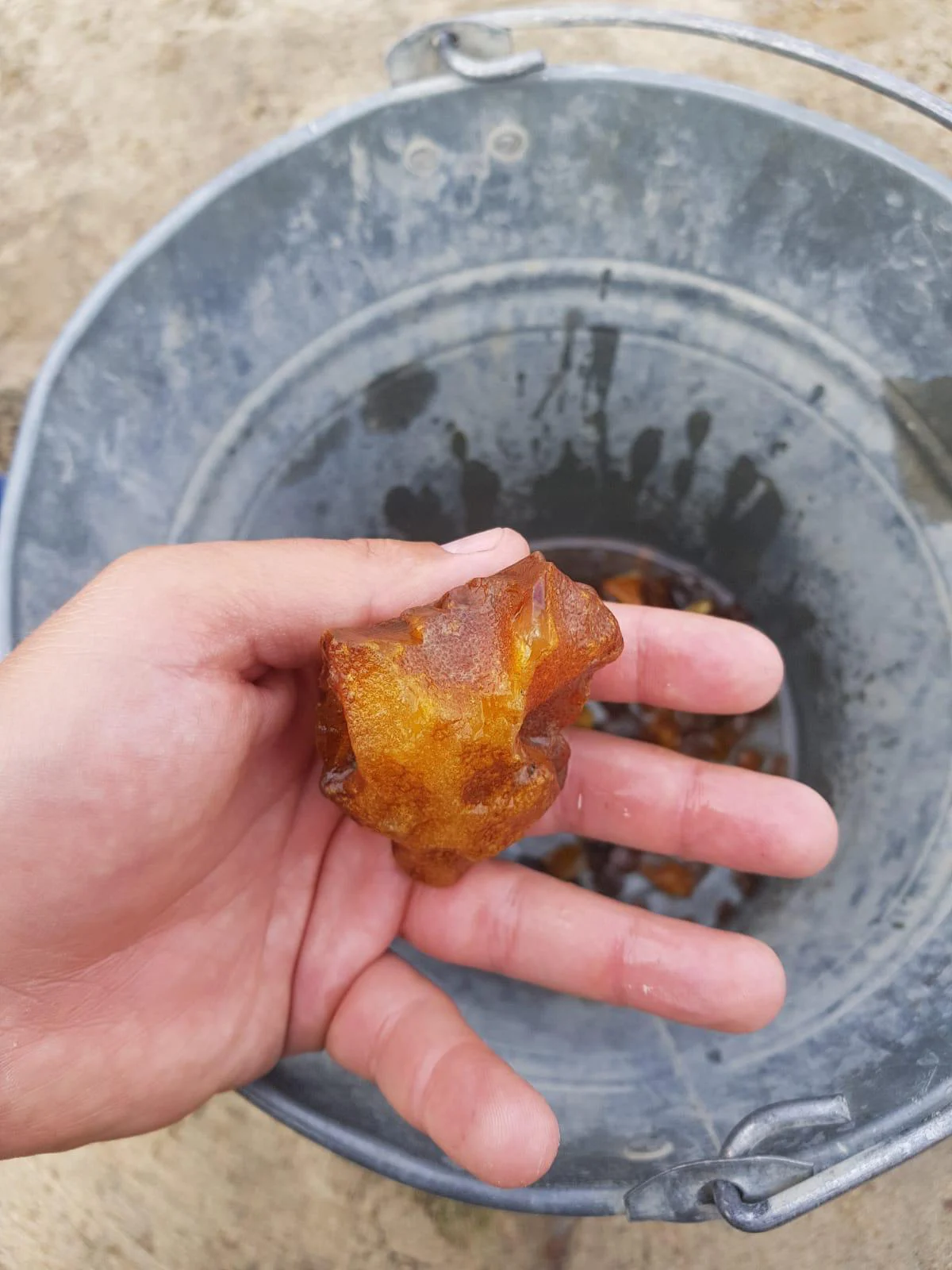 Bursztyn pozyskany w trakcie rozpoznania złoża na lubelszczyźnie. fot. white amber