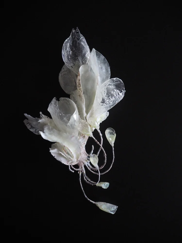 Sława tchórzewska wystawa "czy ty to widzisz?"