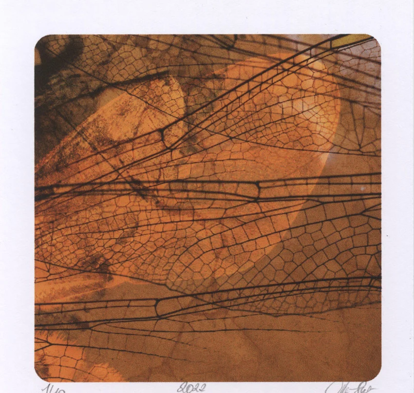 Agata dworzak subocz