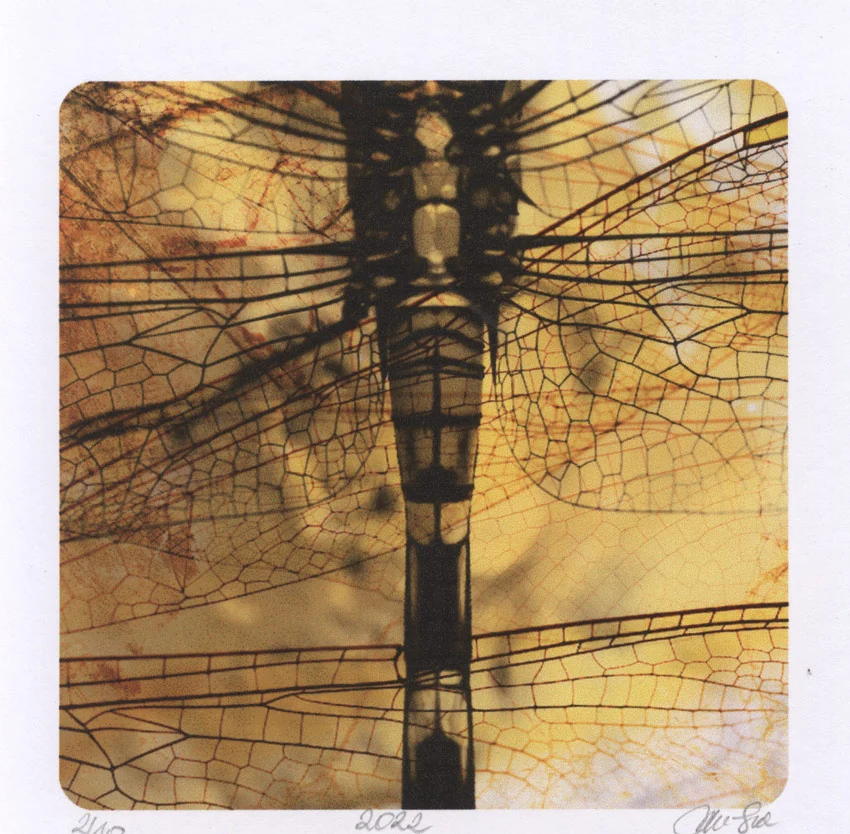 Agata dworzak subocz