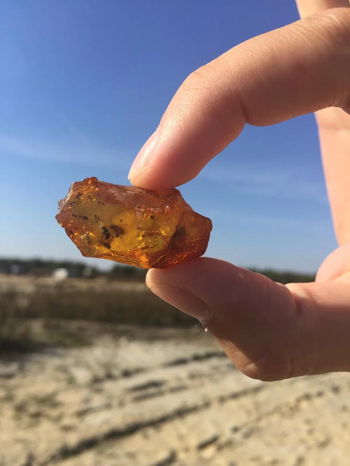 Bursztyn pozyskany w trakcie rozpoznania złoża na lubelszczyźnie. fot. white amber