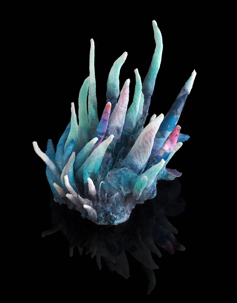 Sława tchórzewska wystawa "czy ty to widzisz?"