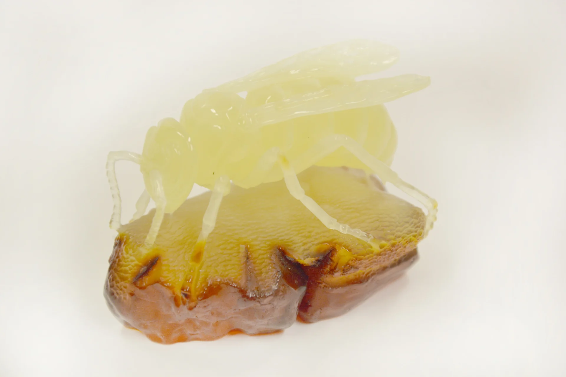 Premysław kuś rzeźba szerszenia, dar autora. fot. muzeum gdańska