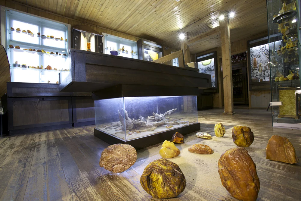 Galeria muzeum w wilnie