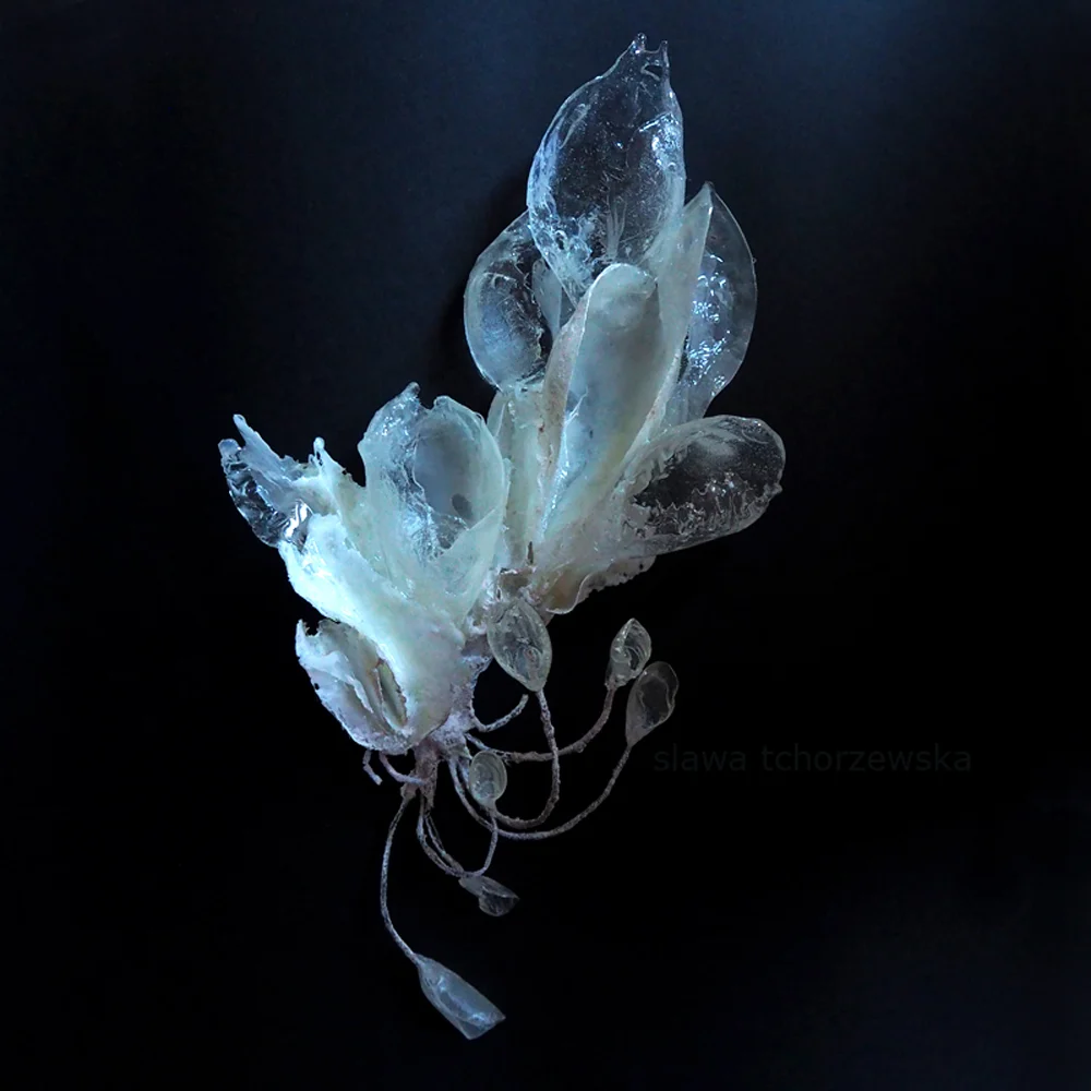 Sława tchórzewska wystawa "czy ty to widzisz?"