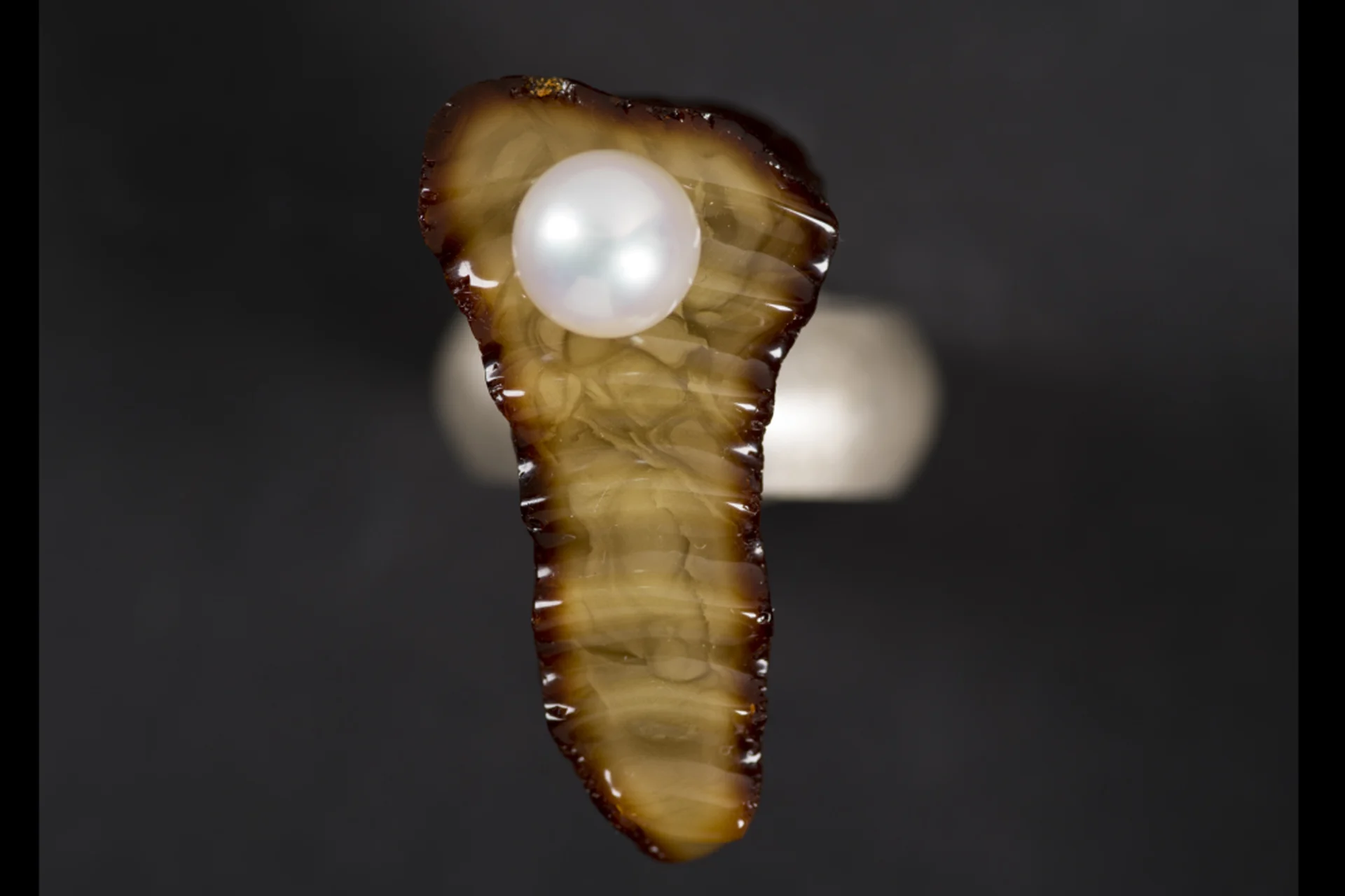 Marcin gronkowski, pierścień z białą perłą, zbiory muzeum gdańska