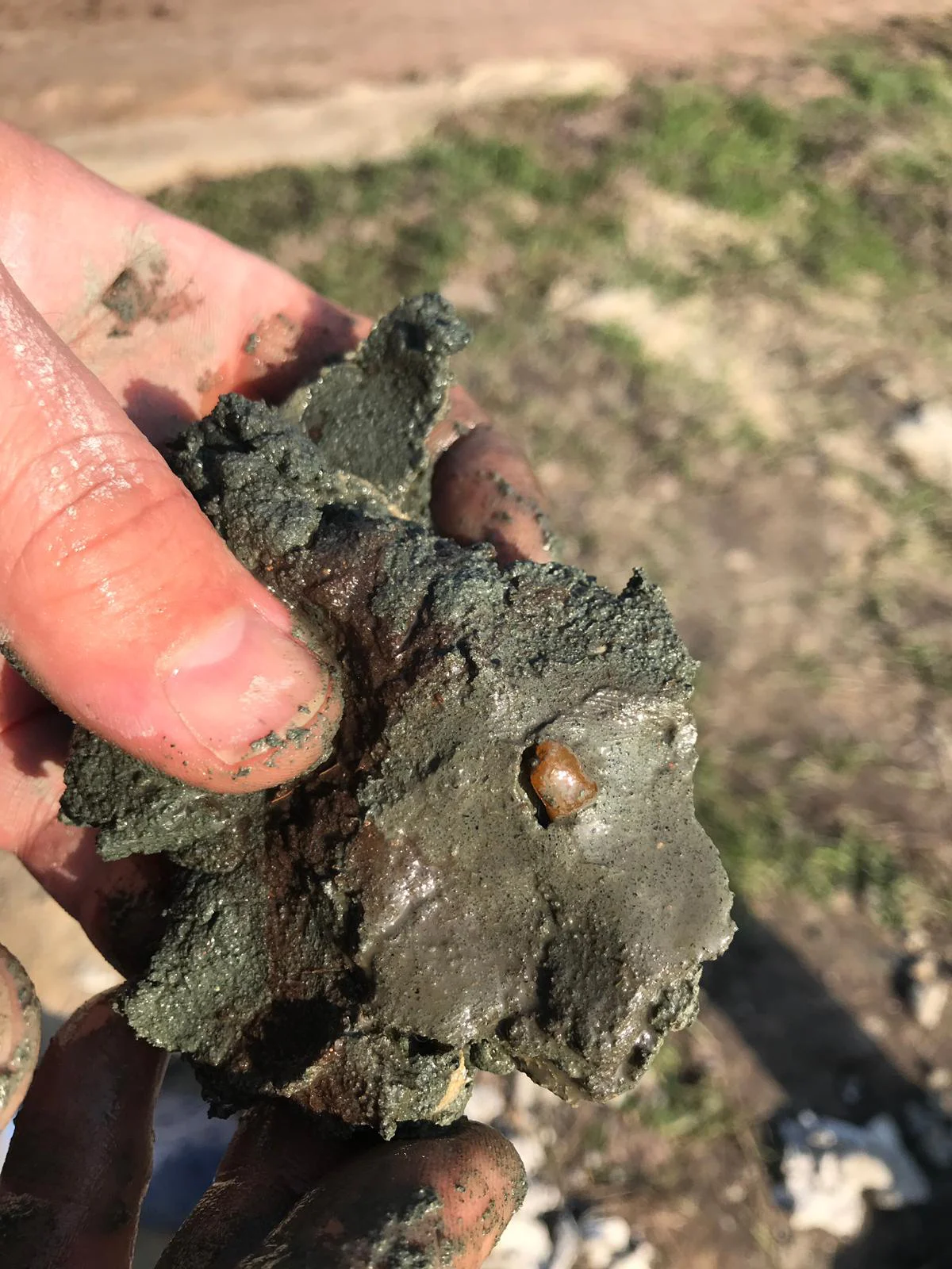 Bursztyn pozyskany w trakcie rozpoznania złoża na lubelszczyźnie. fot. white amber