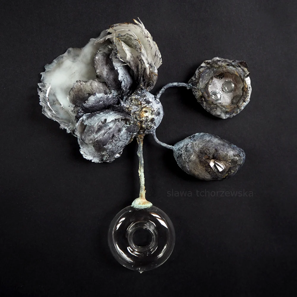 Sława tchórzewska wystawa "czy ty to widzisz?"