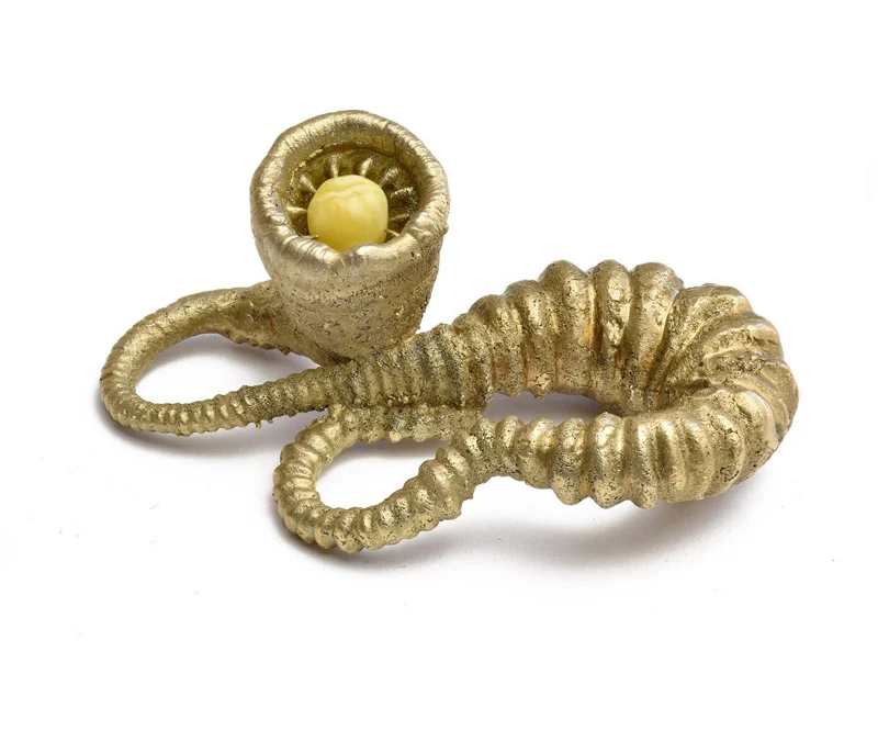 Xenofauna: filip prec, asp gdańsk