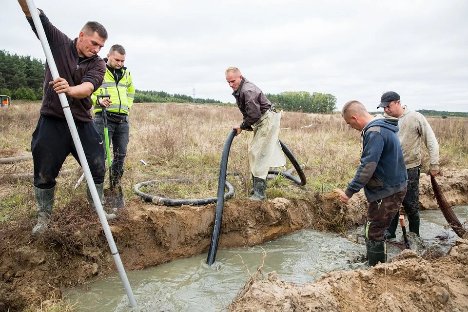 Poszukiwanie bursztynu