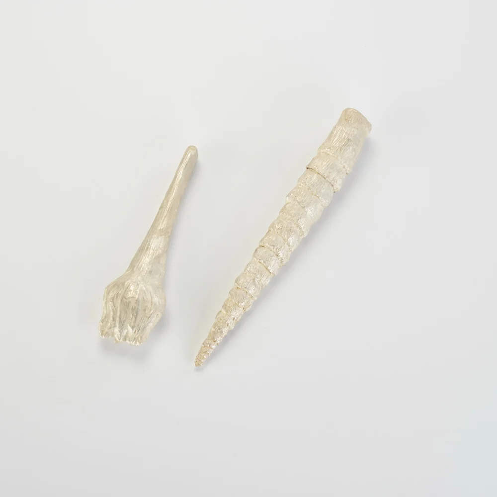 Singrida jurkšaitytė