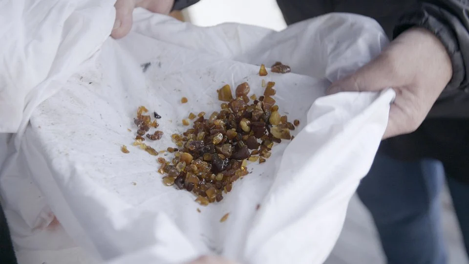 Bursztyn to nie tylko duże bryłki, czasem tylko małe okruchy...