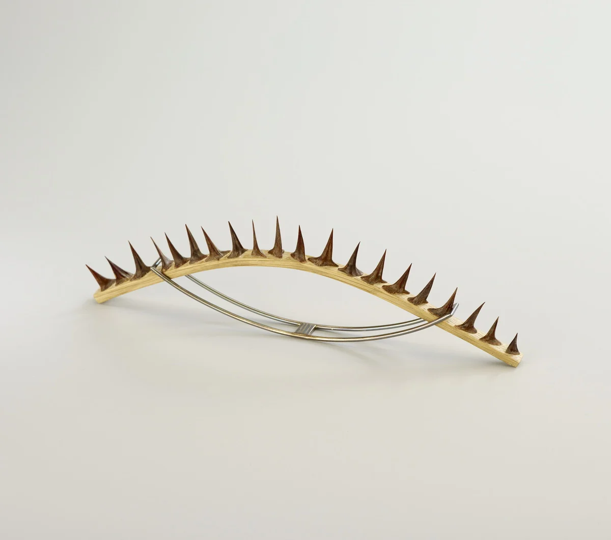 Andrzej boss pierścień: srebro oksydowane, miedź, drewno, kolce akacji, 2021