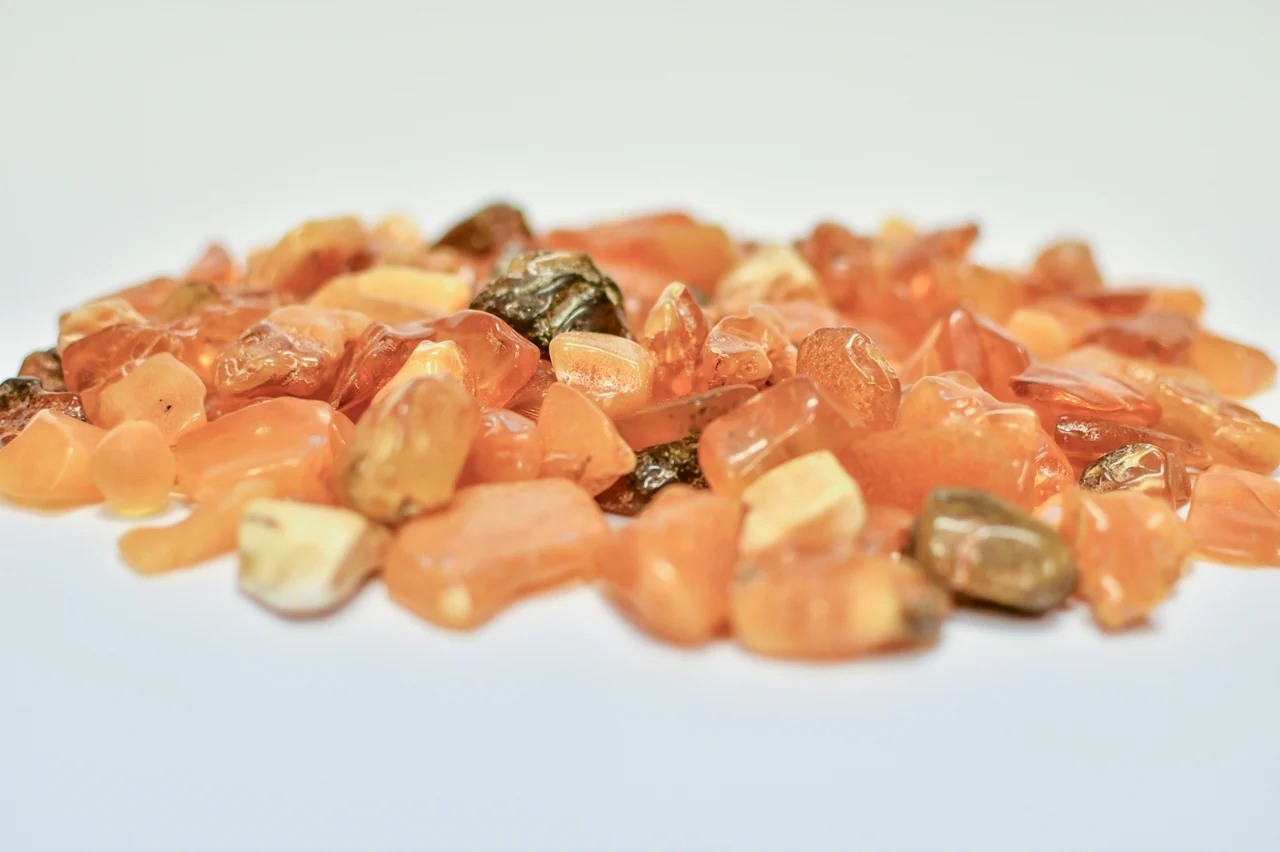 Bursztyny z kopalni w niedźwiadzie dar firmy stellarium. fot. a. grabowska / muzeum gdańska