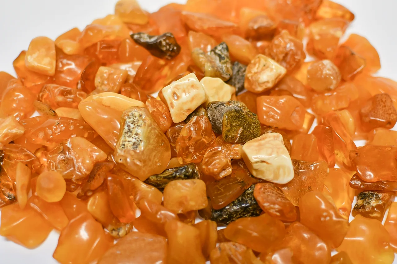 Bursztyny z kopalni w niedźwiadzie dar firmy stellarium. fot. a. grabowska / muzeum gdańska