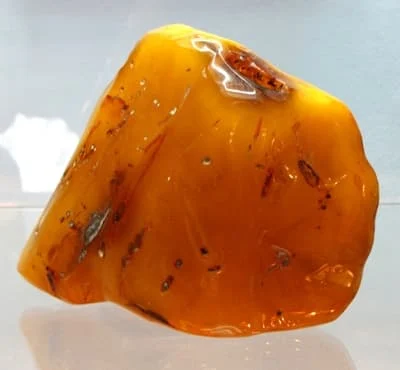 Bryłka bursztynu naturalnego - z wystawy w Muzeum Ziemi PAN w Warszawie