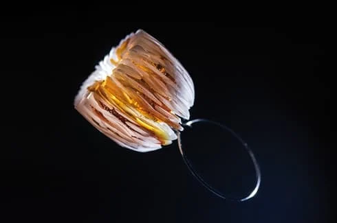 Nagroda Główna Amberif Design Award 2017 - Marcin Tymiński