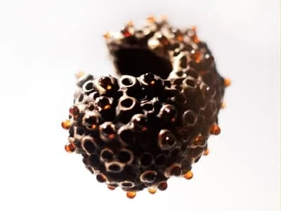 Irmina Jankowska: pierścionek; bursztyn bałtycki, mosiądz oksydowany