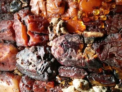 20 ton bursztynu ma znajdować się w Możdżanowie