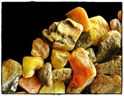 Bursztyn w obiektywie Ewy Magnuckiej