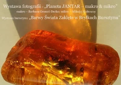 3269485db3cadcbd65e27c9e211f93ad 9f9