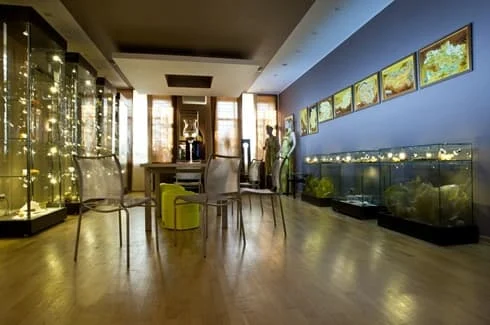 Sala Bursztynowy Szlak w Muzeum Bursztynu w Kijowie