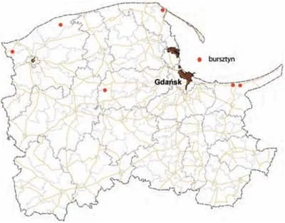 Obszary prognostyczne występowania bursztynu w woj. pomorskim