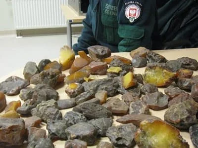 Część przemycanego bursztynu to duże bryłki