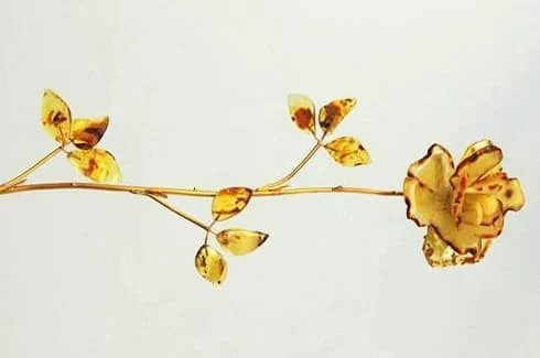 Bursztynowa Róża po raz pierwszy została wręczona Marii Kaczyńskiej