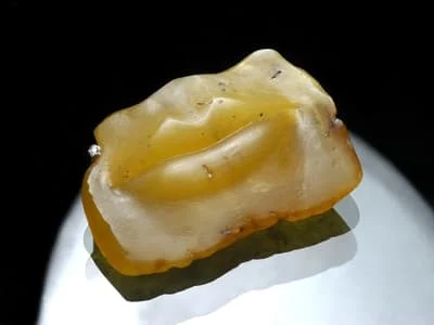 Bursztynowe Usta dla prof. Barbary Kosmowskiej-Ceranowicz od Art7