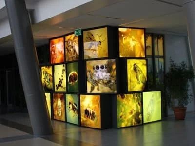 77b4cce0b69b99bdd89ed5fe2f72704d b9b