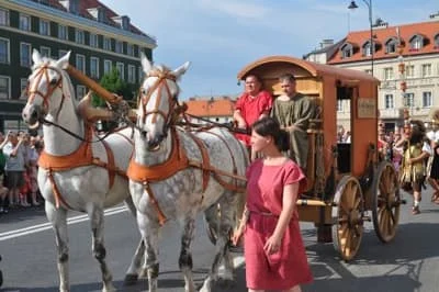 884076e32a85fde4d5ab4fe1dc1af0d4 d54