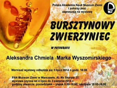 8a7eacb7a228abdc187ecece4128652b d51