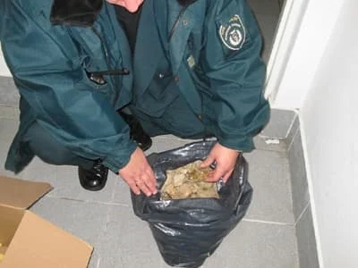 Ujawniony bursztyn na przejściu granicznym z Rosją