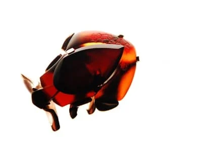 9c003038d74100aab9ff581f34bcf125 e43