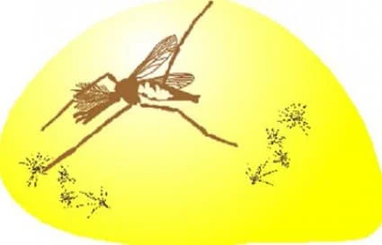 A6f838f0ef99ef2a7fcab07e1231e40e c82