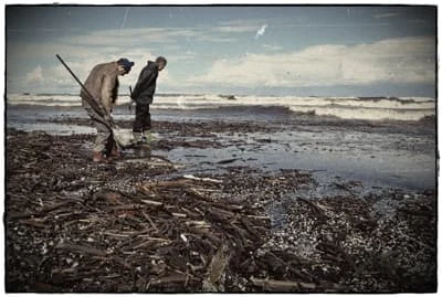 Poszukiwanie bursztynu na Wyspie Sobieszewskiej - wrzesień 2010