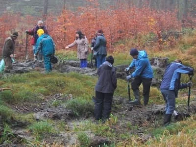 Sadzenie drzewek zajęło ponad 2 godziny