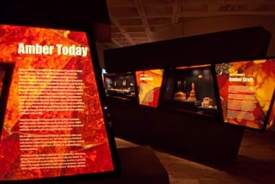 Wystawa w Malborku zainspirowana została współpracą z The Hunterian Museum and Art Gallery w Glasgow