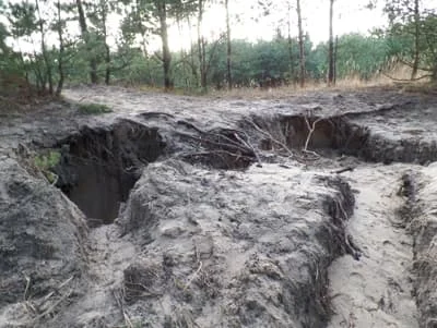 Dziury po nielegalnym wydobyciu w lesie na Stogach