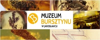 B90c3557a61a887cb566204d08aac170 54b