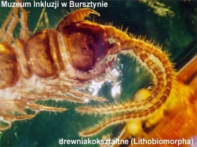 Bb9b250443dc34308e298da5c5767374 925