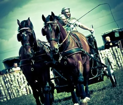 Wyścigi rydwanów w Wieluniu