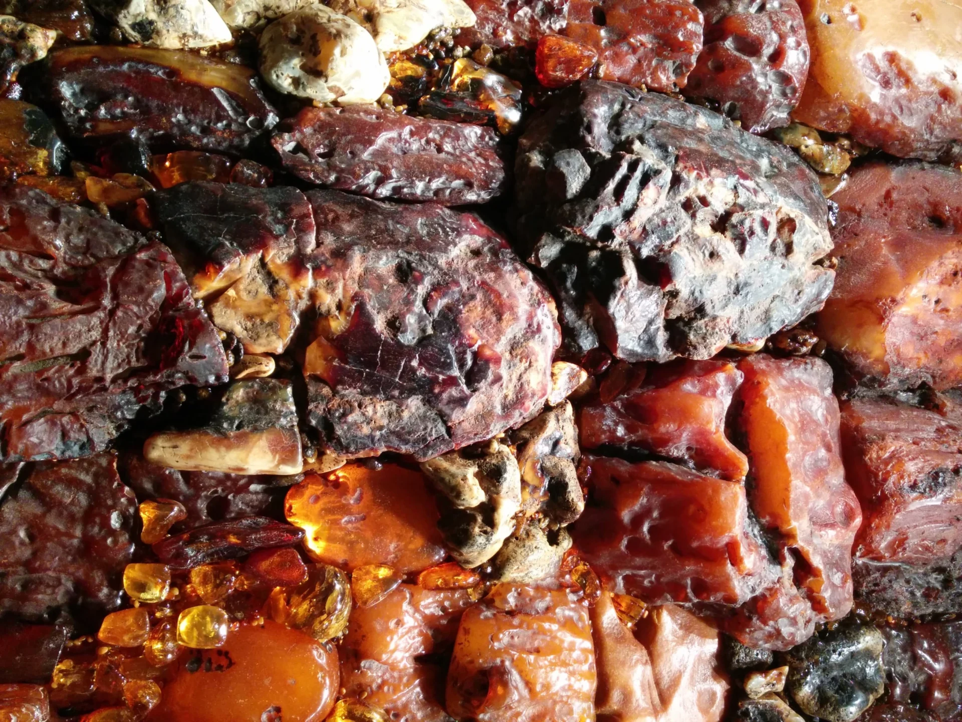 Bfd1c1bf0f19dbbe8f6733621075a427 b97