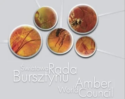 D50ace0c29db9ed14b87bbbc3592d4ac 8b3