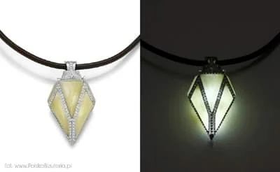 Nagrodzona praca Pawła Wasia