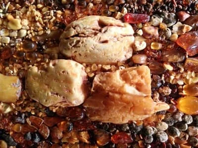 Spółka Discovery spodziewa się wydobyć w Możdżanowie bursztyn odmiany żółtej